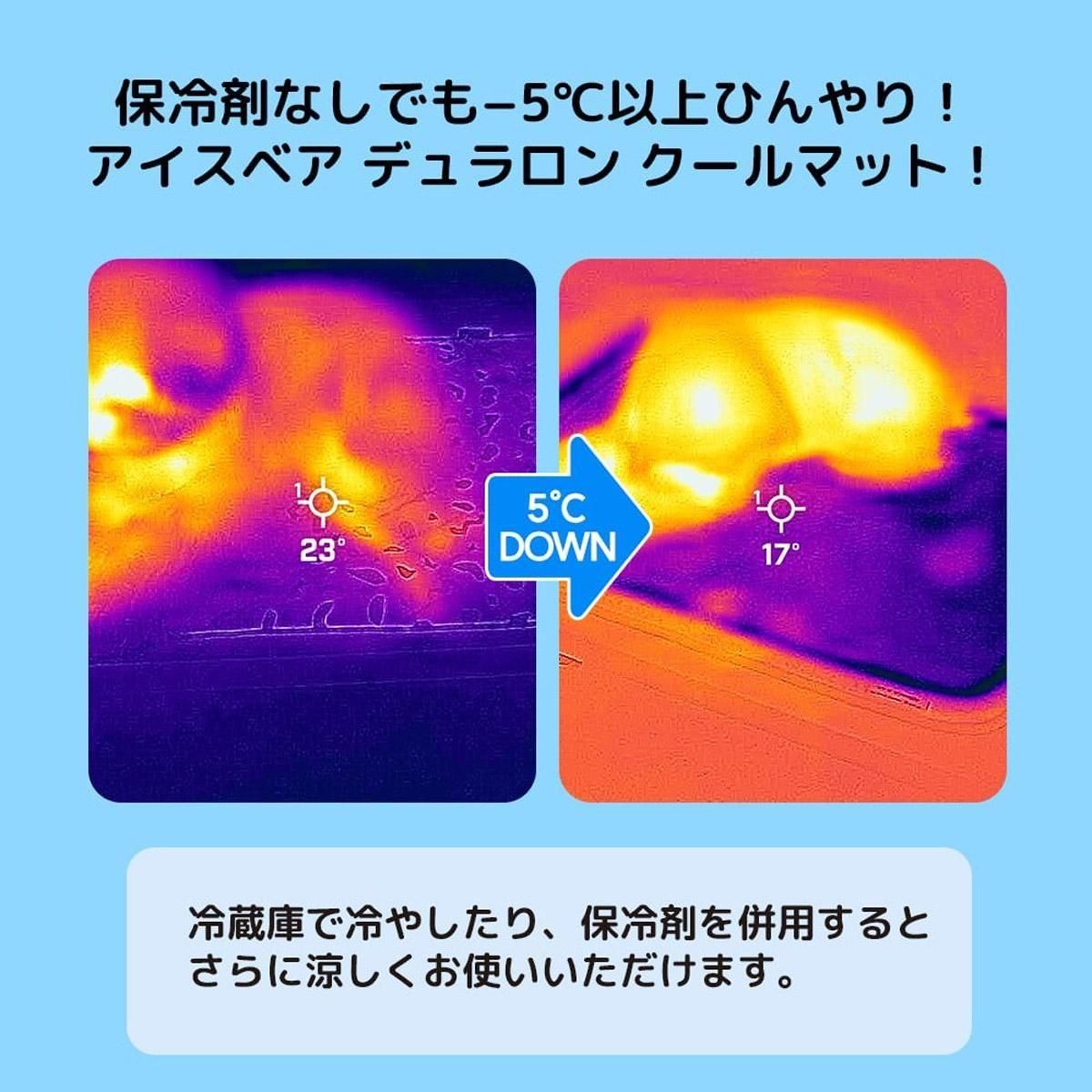 ͥ