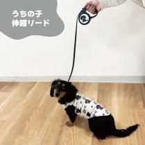 <img class='new_mark_img1' src='https://img.shop-pro.jp/img/new/icons13.gif' style='border:none;display:inline;margin:0px;padding:0px;width:auto;' />ڣǯץʡۿ̥꡼ɡλһ鳨饹2025Ҥޥե