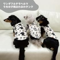 <img class='new_mark_img1' src='https://img.shop-pro.jp/img/new/icons13.gif' style='border:none;display:inline;margin:0px;padding:0px;width:auto;' />ڣǯץʡۥƥդդ勵󥯡λһ鳨饹2025Ҥޥե
