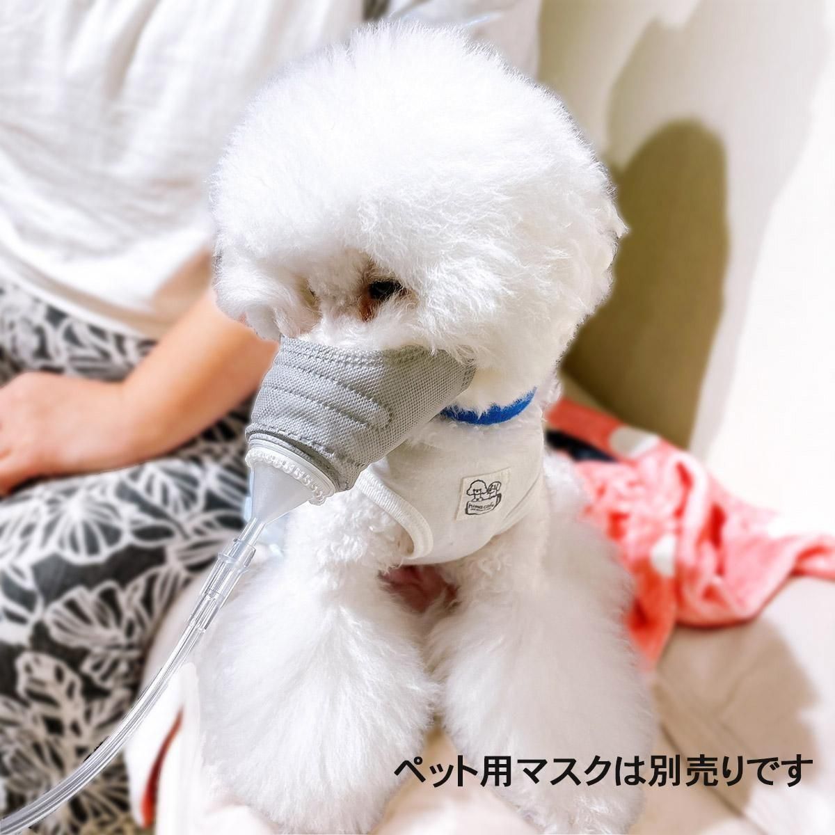 【最終価格】ドクター水素ボトル 新品カニューラ付き　元箱あり ドクター水素ボトル+®️ | focusapparel