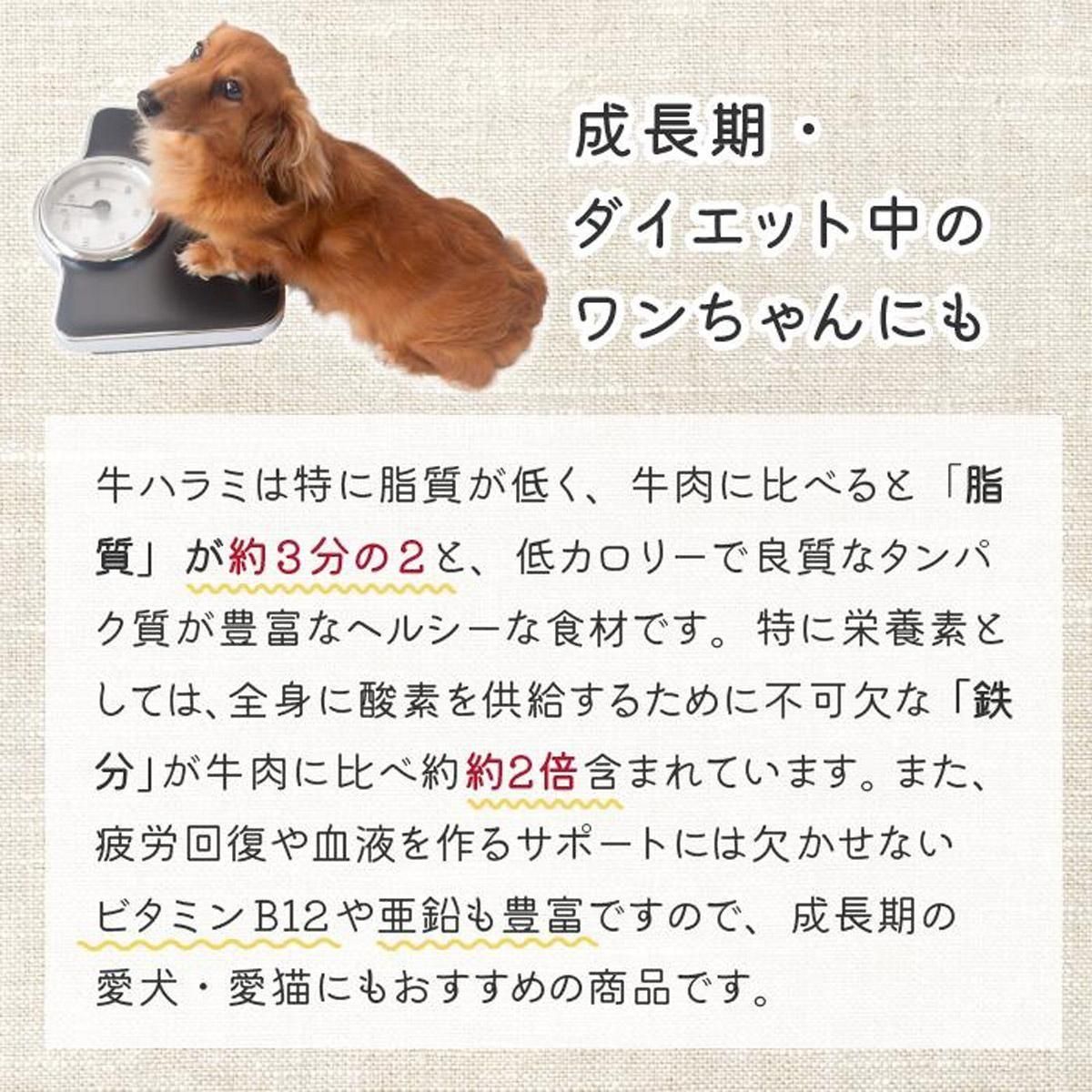 ͥ