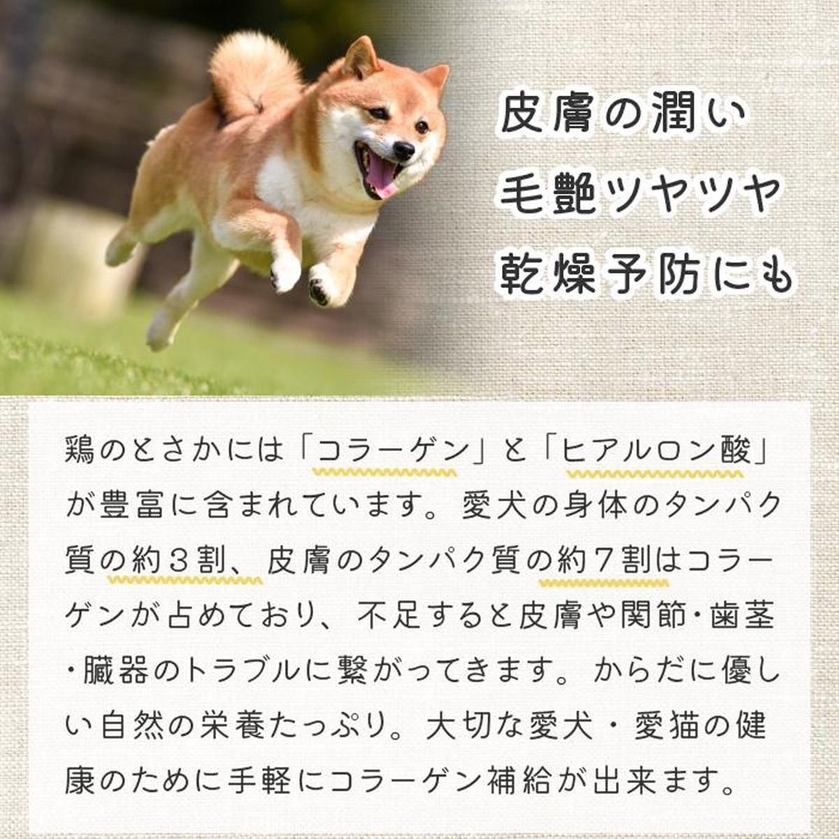 ͥ