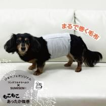 <img class='new_mark_img1' src='https://img.shop-pro.jp/img/new/icons13.gif' style='border:none;display:inline;margin:0px;padding:0px;width:auto;' />ͽ 12ͽۥեƥإ® SUMISEN® ⤳⤳äʢҤޥեꥸʥ1Τߥݥ