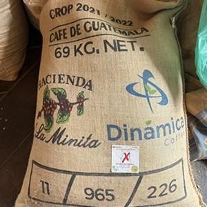 ƥޥ ޥƥʥ ֥ܥƦ 200