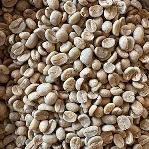 ƥޥ ޥƥʥ ֥ܥƦ 200