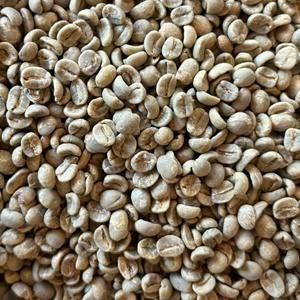 ֥饸 顼 Ŧ ֥ܥ 饷Ʀ 200