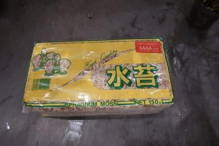 ニュージーランド産 水苔 １５０ｇ - Bot.