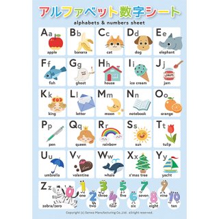 ア ルファベット学習セット　【カード教材+アルファベット数字シート2枚】