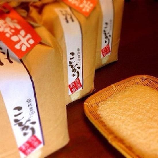 茨城県 常陸太田産こしひかり 2kg (ふるさと納税 【令和6年産 茨城県 常陸太田産こしひかり 2kg (ふるさと納税 【令和6年産