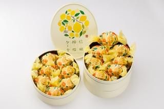 檸檬ココさま専用