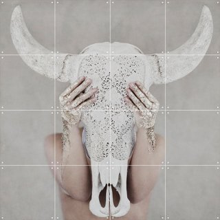 Bohemian Skull / Hannah Lemholt　/ IXXI ウォールピクチャー