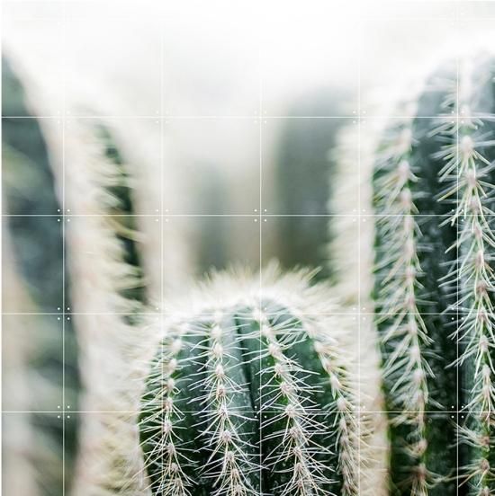 Cactus & Leaves / IXXI ウォールピクチャーsize small 100 x