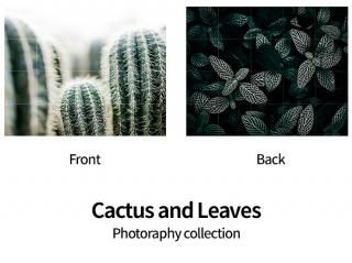 Cactus & Leaves/ IXXI ԥ㡼size small 00 x 80cm