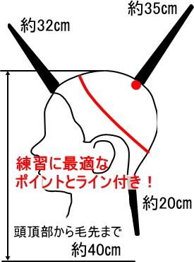カットウィッグ　人毛100% プログレーソ 日本カットアカデミー 2体セット とにかく安い！ 美容師 NBAA カットウィッグ スー NB-WSC01