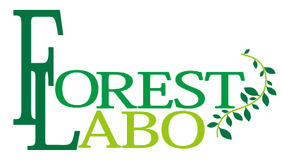 FOREST LABO 饤󥹥ȥҴȩ餹٤Ƥȩ˻Ȥ롢ȩˤ䤵òʡԥե쥹ȡܡ