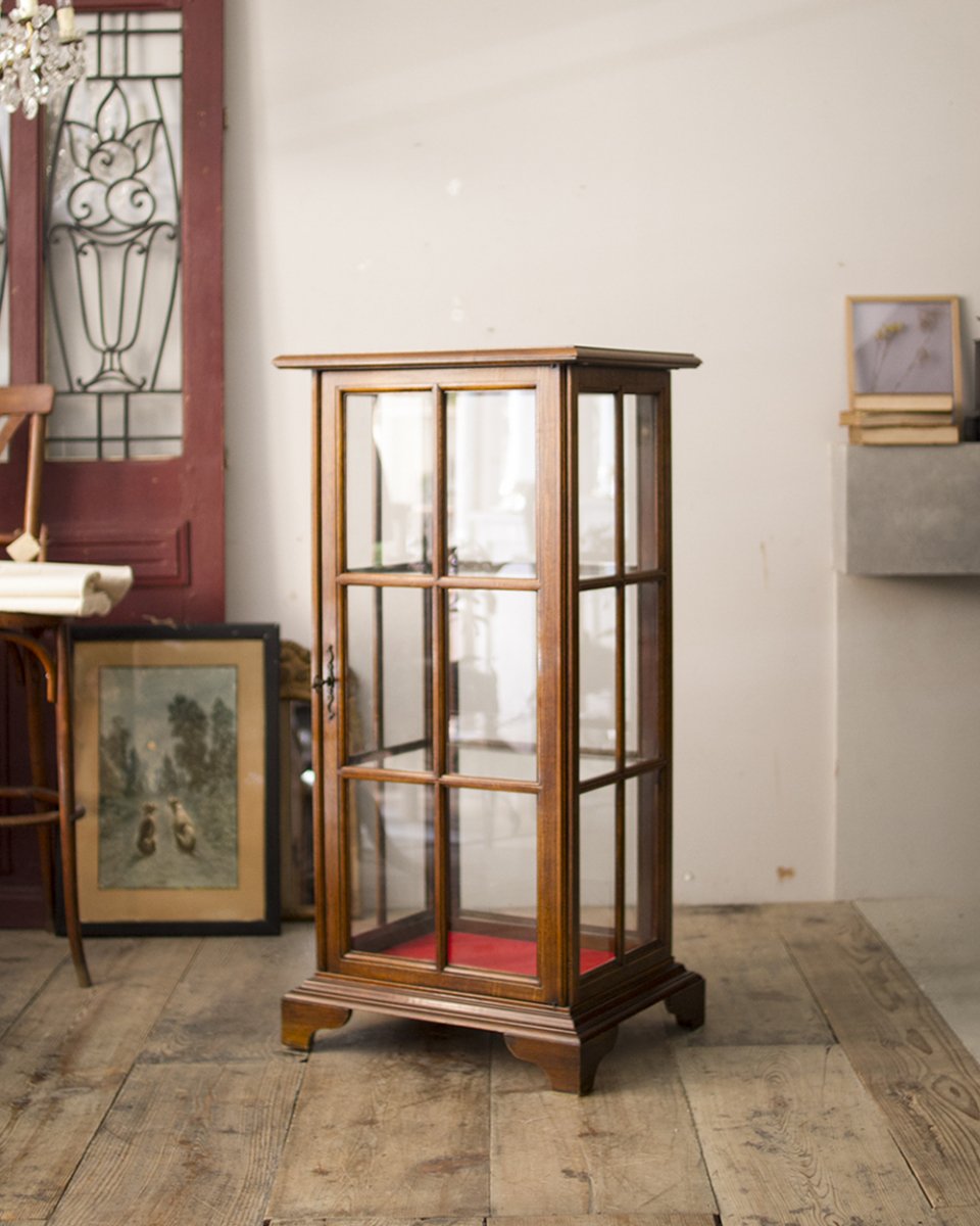 フランスアンティーク コレクションガラスケース ガラスキャビネット ショーケース | Antiques Knock