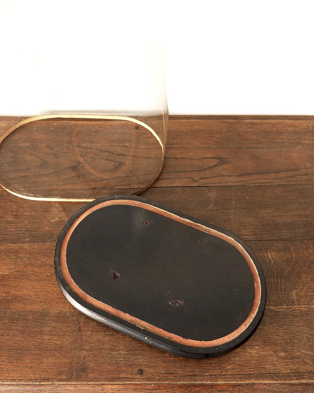 アンティーク ガラスドーム.7 (グローブ ド マリエ) | Antiques Knock