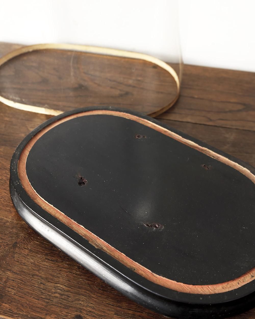 アンティーク ガラスドーム.7 (グローブ ド マリエ) | Antiques