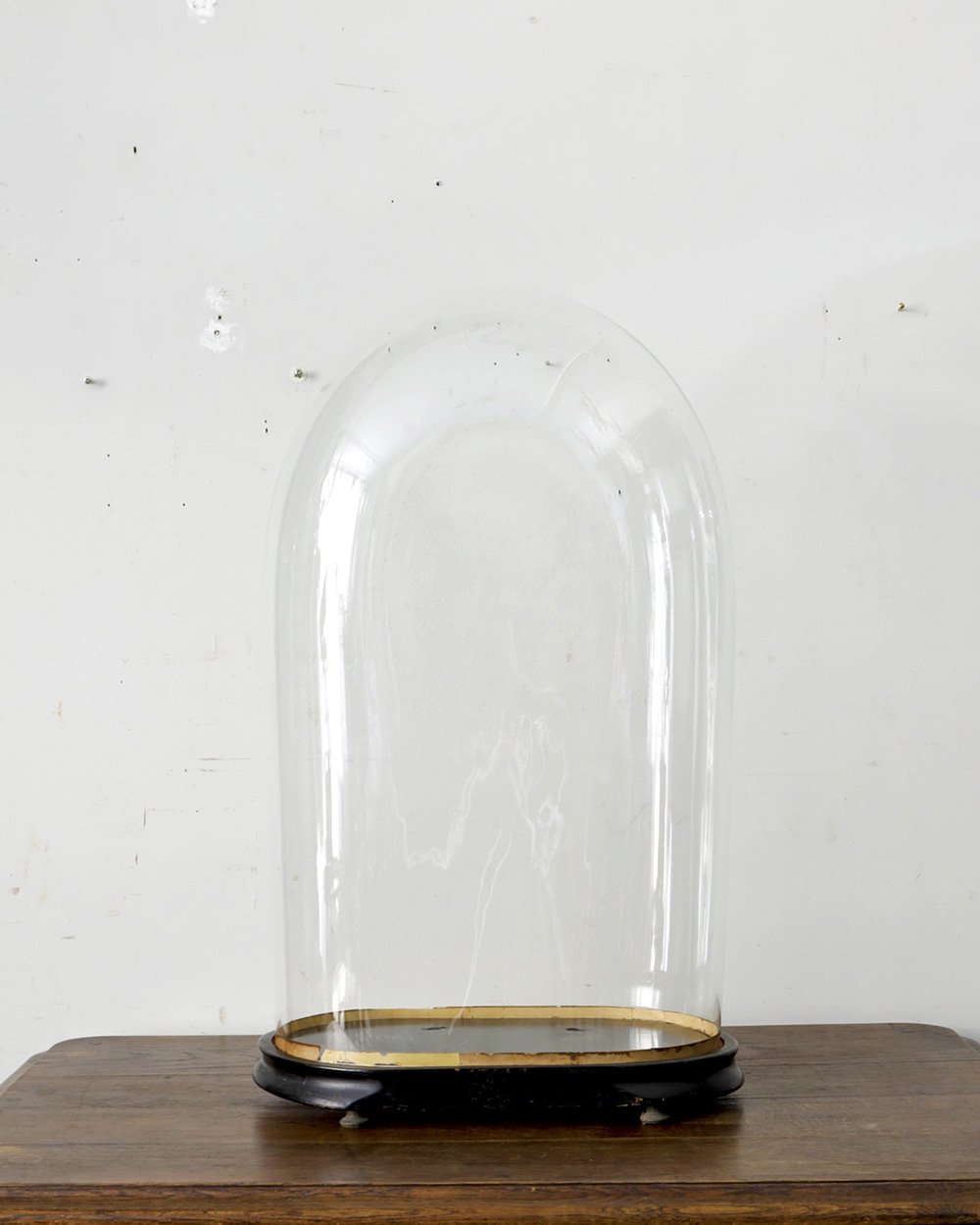 アンティーク ガラスドーム.7 (グローブ ド マリエ) | Antiques Knock
