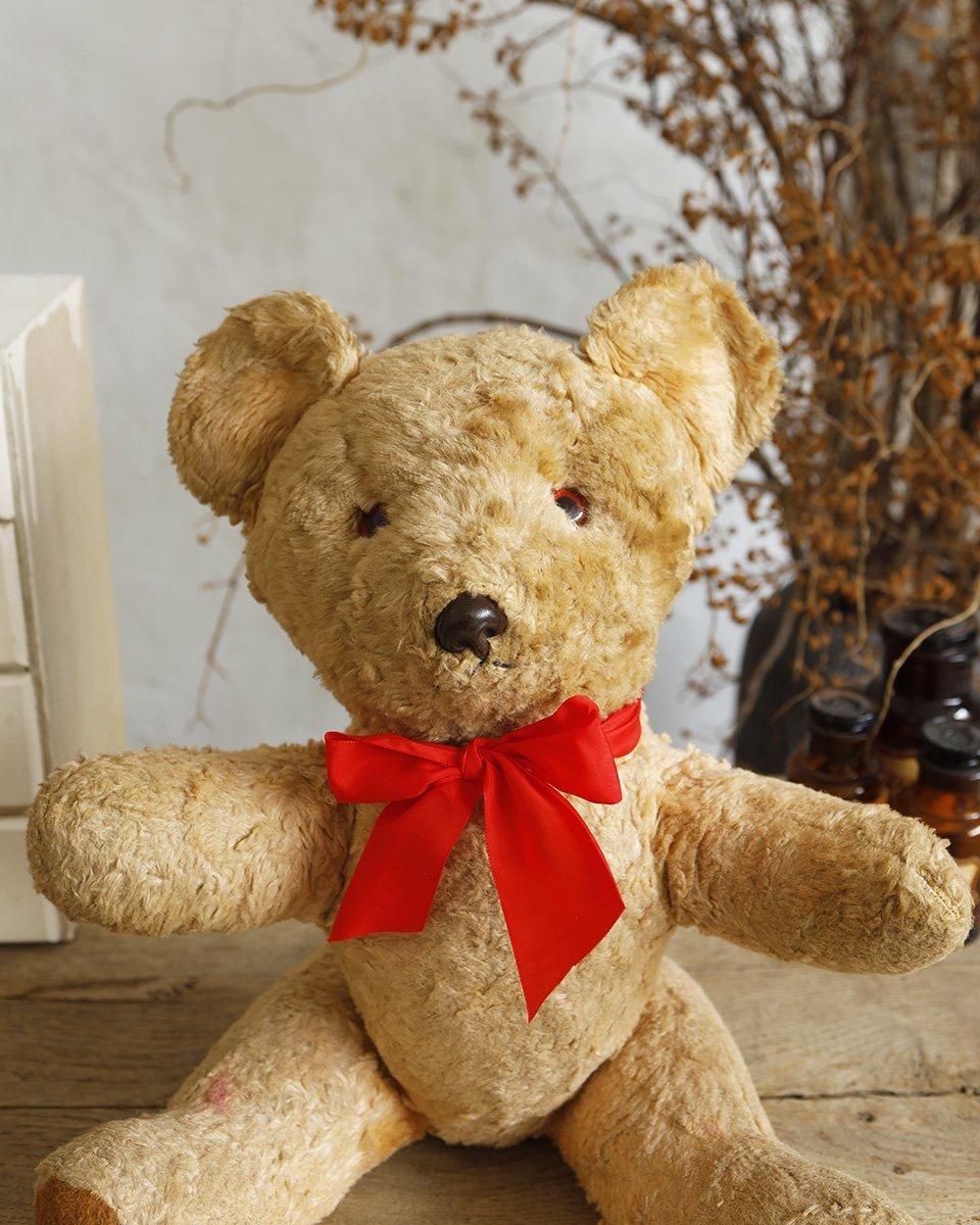 フランスアンティーク ぬいぐるみ”テディベア”.3 | Antiques Knock フランスアンティーク ぬいぐるみ”テディベア”.3 | Antiques Knock