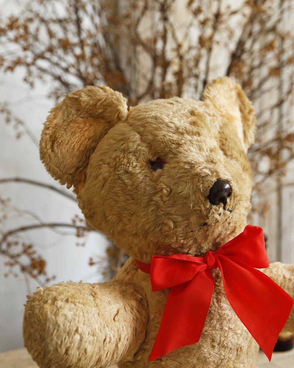 フランスアンティーク テディベア ぬいぐるみ フランスアンティーク ぬいぐるみ”テディベア”.1 | Antiques Knock