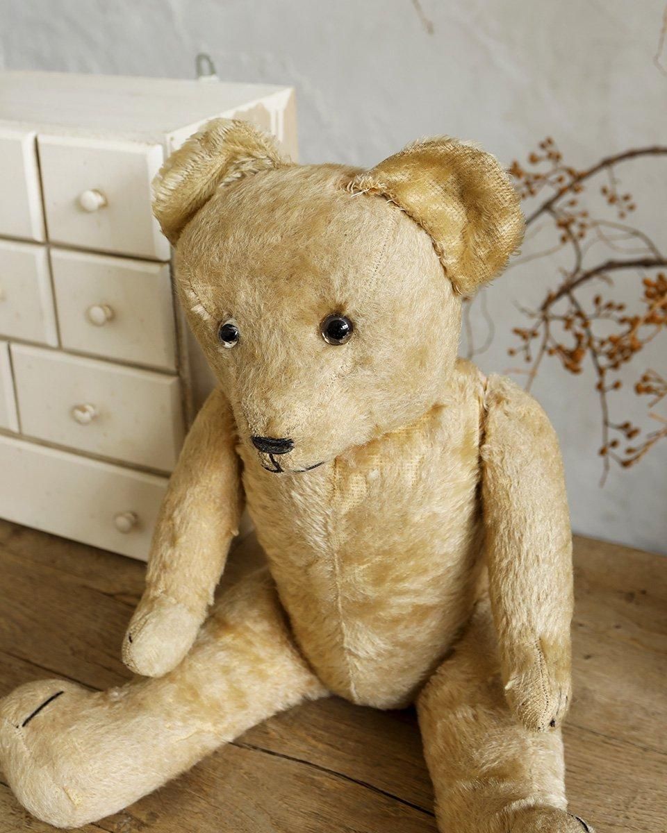 フランスアンティーク ぬいぐるみ”テディベア”.4 | Antiques Knock