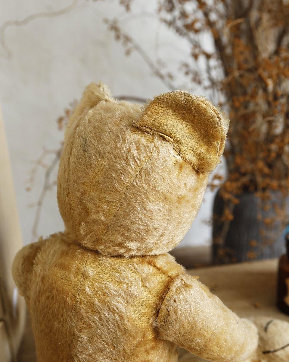 フランスアンティーク ぬいぐるみ”テディベア”.4 | Antiques Knock