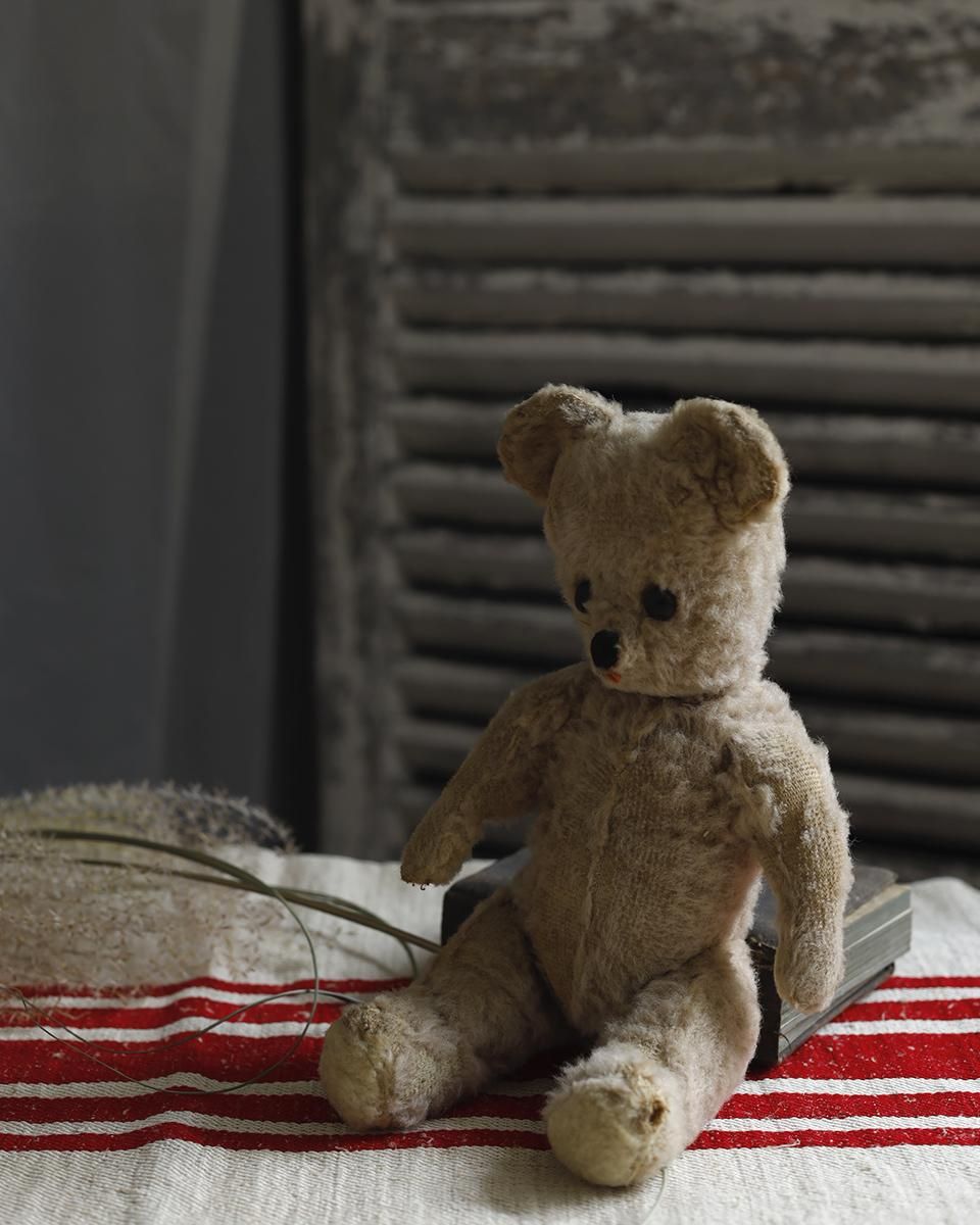 フランスアンティーク ぬいぐるみ”テディベア”.5 | Antiques フランスアンティーク ぬいぐるみ”テディベア”.5 | Antiques