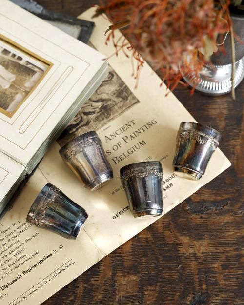  Сå.13  Silver Cup.13 