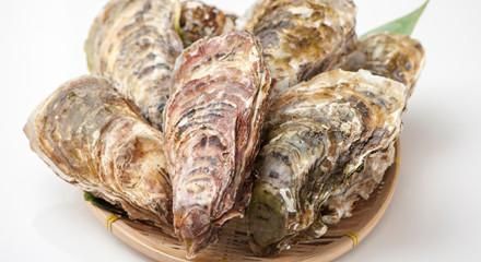 佐々木友彦さんのムール貝2年物［6kg 加熱用］【送料込】 - 三陸