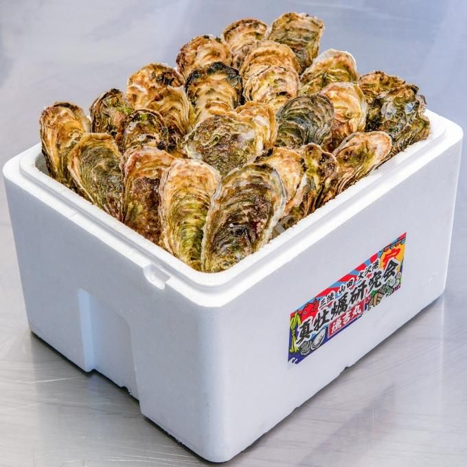 真牡蠣研究会の殻付きカキ3年物 25個 加熱用 送料込 三陸やまだ漁協 産直市場
