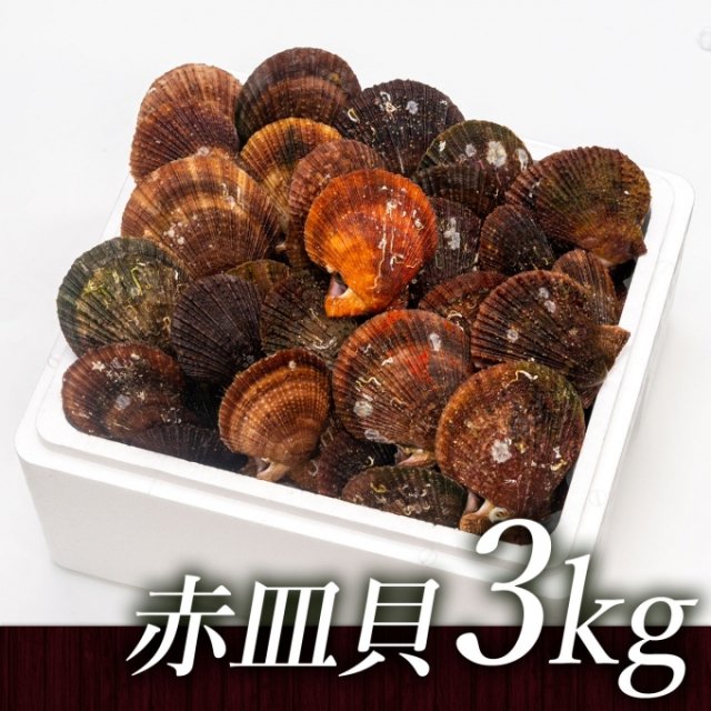 【送料無料CP対象】中村敏彦さんのアカザラ貝（3kg）［加熱用］