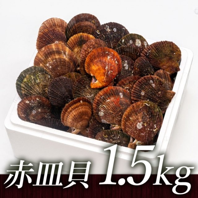 【送料無料CP対象】中村敏彦さんのアカザラ貝（1.5kg）［加熱用］【送料込】