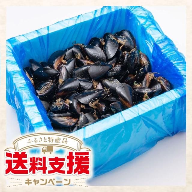 ͧɧΥࡼ볭4kg Ǯѡϡڤդ뤵ûٱ祭ڡоݾʡ