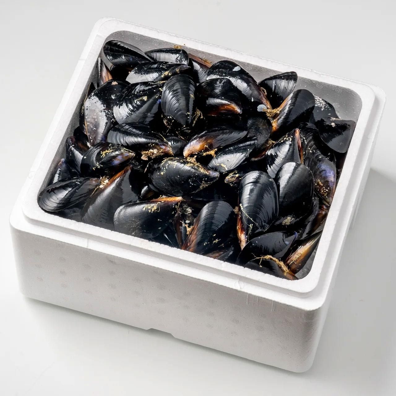 中村敏彦さんのムール貝 4kg［加熱用］【送料込】 - 三陸やまだ漁協