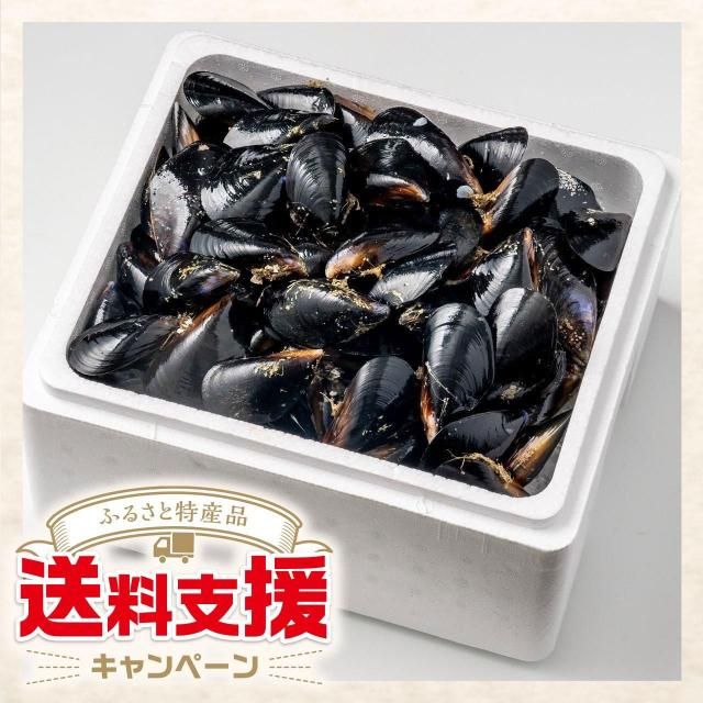 ¼ɧΥࡼ볭 4kgβǮѡϡڤդ뤵ûٱ祭ڡоݾʡ