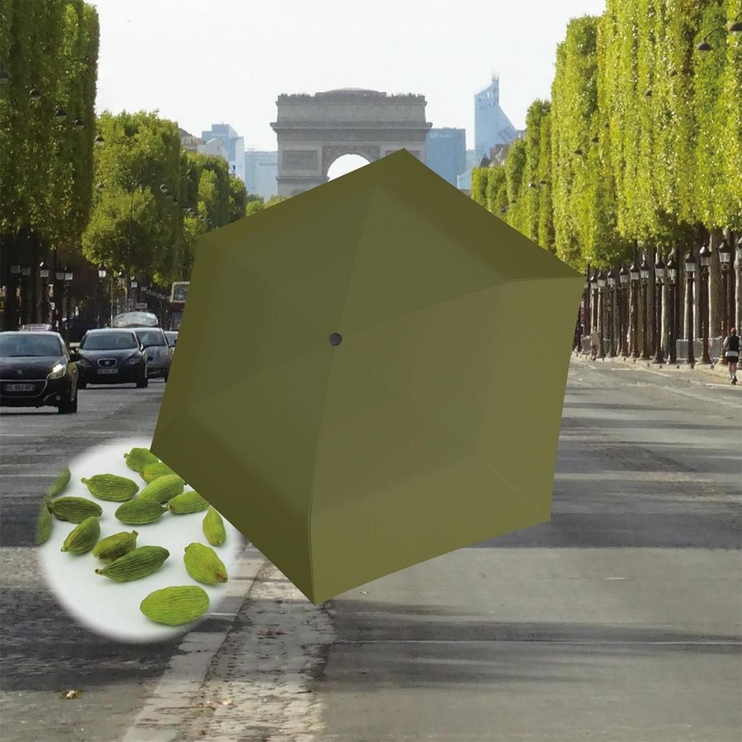 US.050 Cardamom - Knirps(クニルプス)日本公式オンラインストア