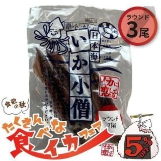 ڤ󿩤٤ʥե5%OFFܳ3
