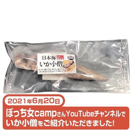 涼しまなイカフェア2025 5％OFF】焼いても煮ても揚げても若いか