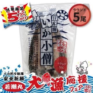 ڼĬ ե20255%OFFܳΥ饦5