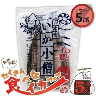 ڤ󿩤٤ʥե5%OFFܳΥ饦5