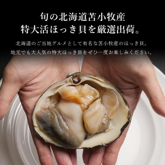 活ほっき貝 超特大 お刺身 バーベキュー 2kgセット 殻付 冷蔵 北海道産 活ほっき貝 超特大 お刺身 バーベキュー 2kgセット 殻付 冷蔵 北海道産