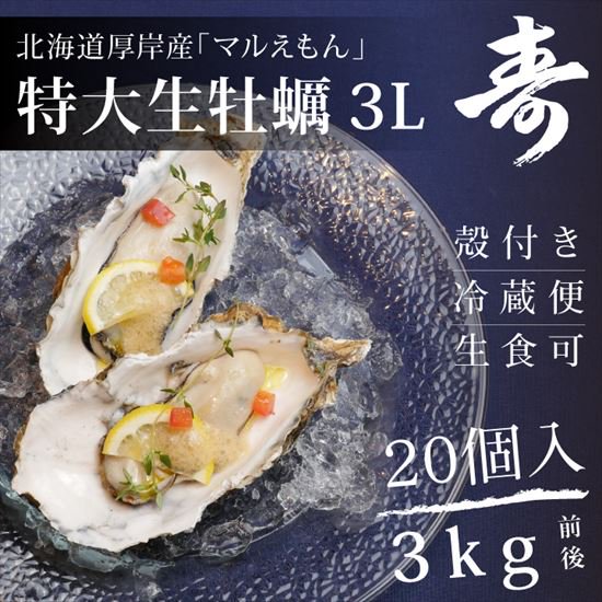 牡蠣 殻付き 生牡蠣 カキ 北海道 厚岸 マルえもん 希少な特大3Lサイズ