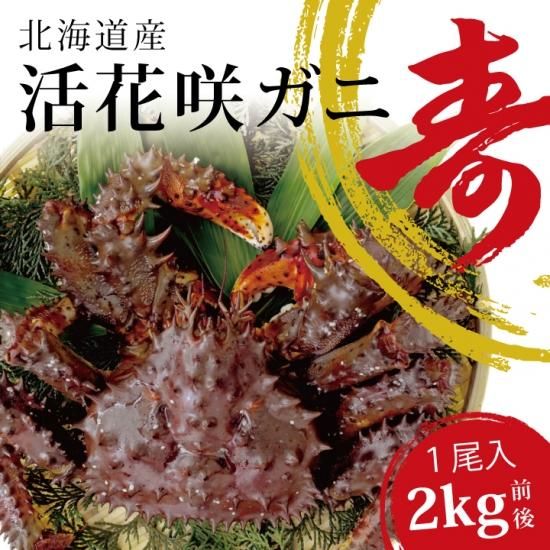 活カニ 特大花咲ガニ 北海道産 希少 お歳暮 カニ 花咲蟹 2kg 毛ガニの寿水産