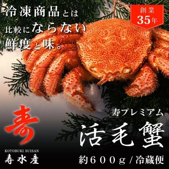 毛ガニ 活毛ガニ 特大 600g 前後 北海道産 冷蔵 毛ガニの寿水産