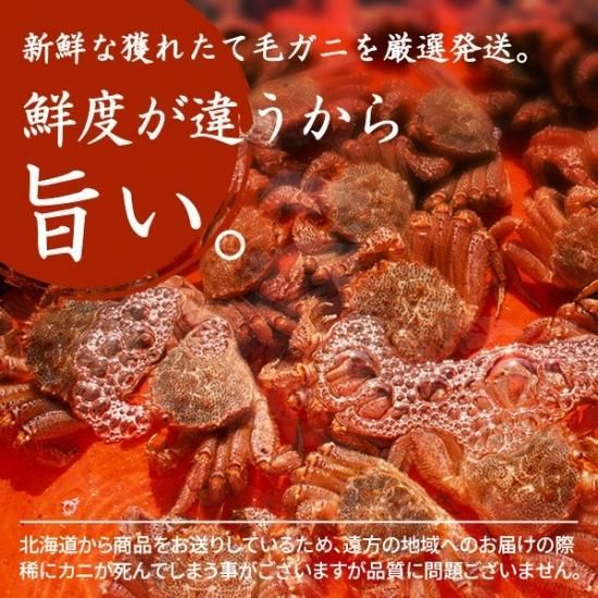 北海道産　毛蟹700g 毛ガニ 活毛ガニ セット 700g 前後×2尾 北海道産 冷蔵 堅ガニ