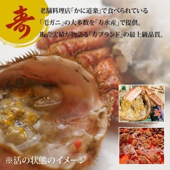 北海道産　毛蟹700g 北海道産】 ボイル毛ガニ 450g x 2 – Oritz Shop