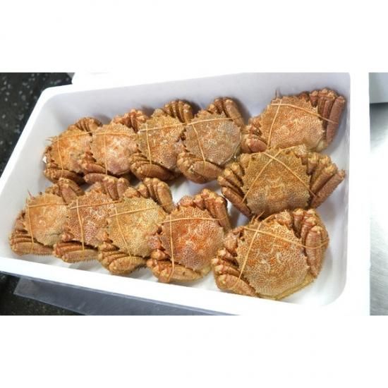 北海道産　毛蟹700g 鮮魚通販［豊洲 Okawari 鮮魚店］特大活毛ガニ 最高級品 北海道