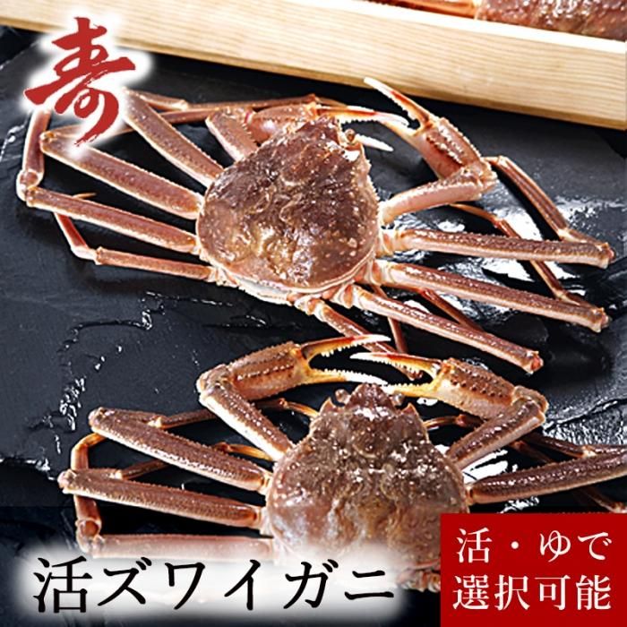毛がに(活茹で)訳あり品 毛ガニ 毛蟹 訳あり 2〜3匹 1.0kg セット 石川県産 活蟹 or 茹で