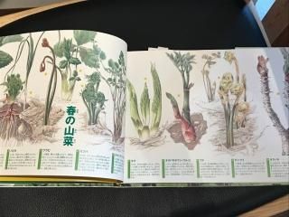 野遊びを楽しむ里山百年図鑑 : 松岡達英 | HMV&BOOKS online